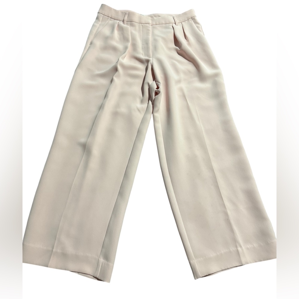 Banana Republic Pleated Wide-Leg Pants in Light Pink